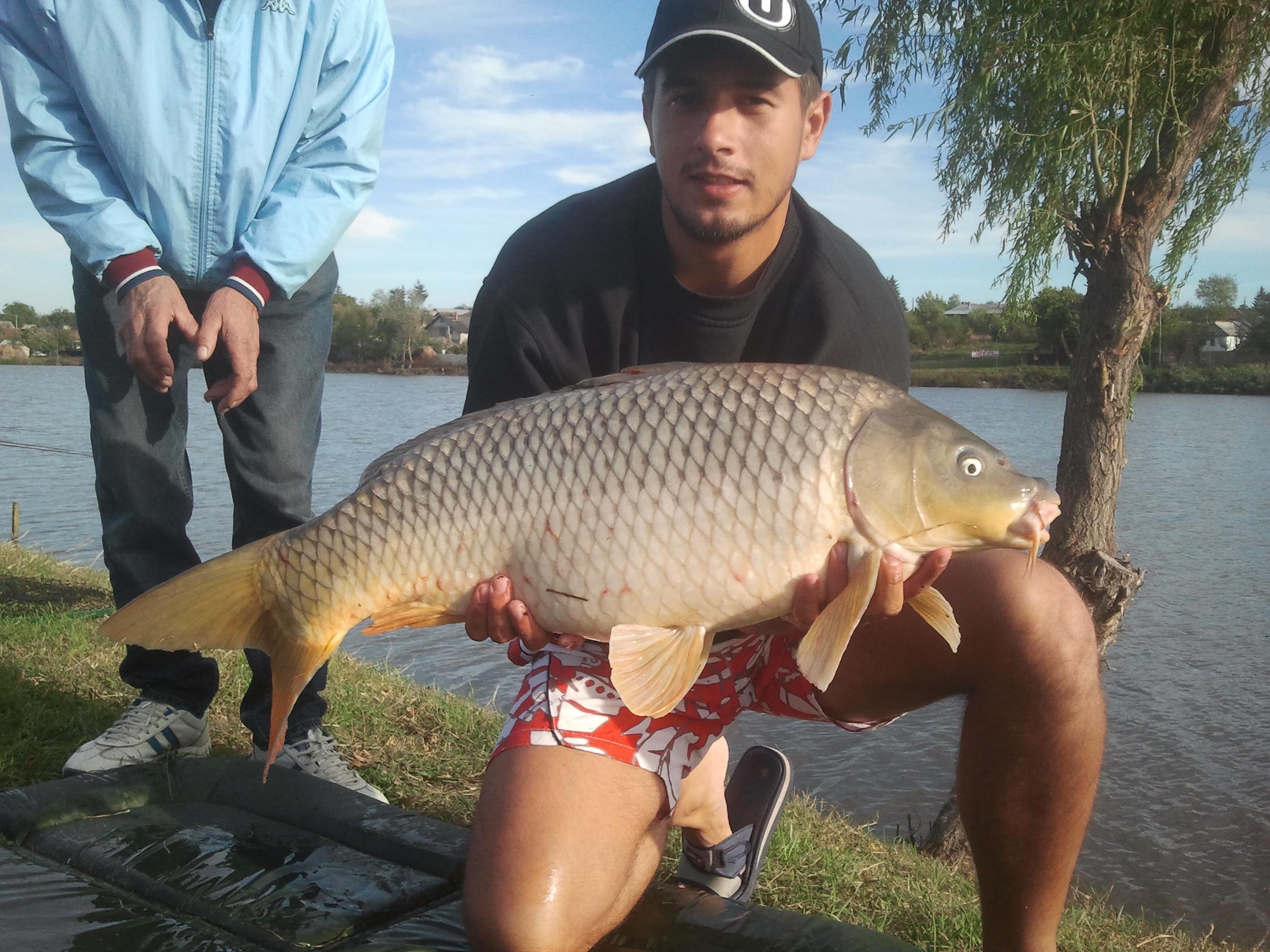 2012 - 2012-10-17 16.28.30.jpg